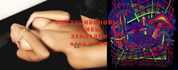 бошки Алексин