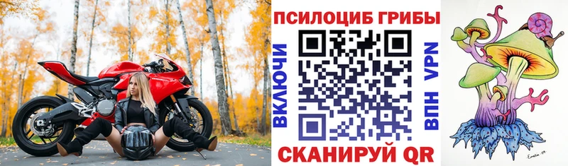 закладки  Безенчук  Галлюциногенные грибы GOLDEN TEACHER 